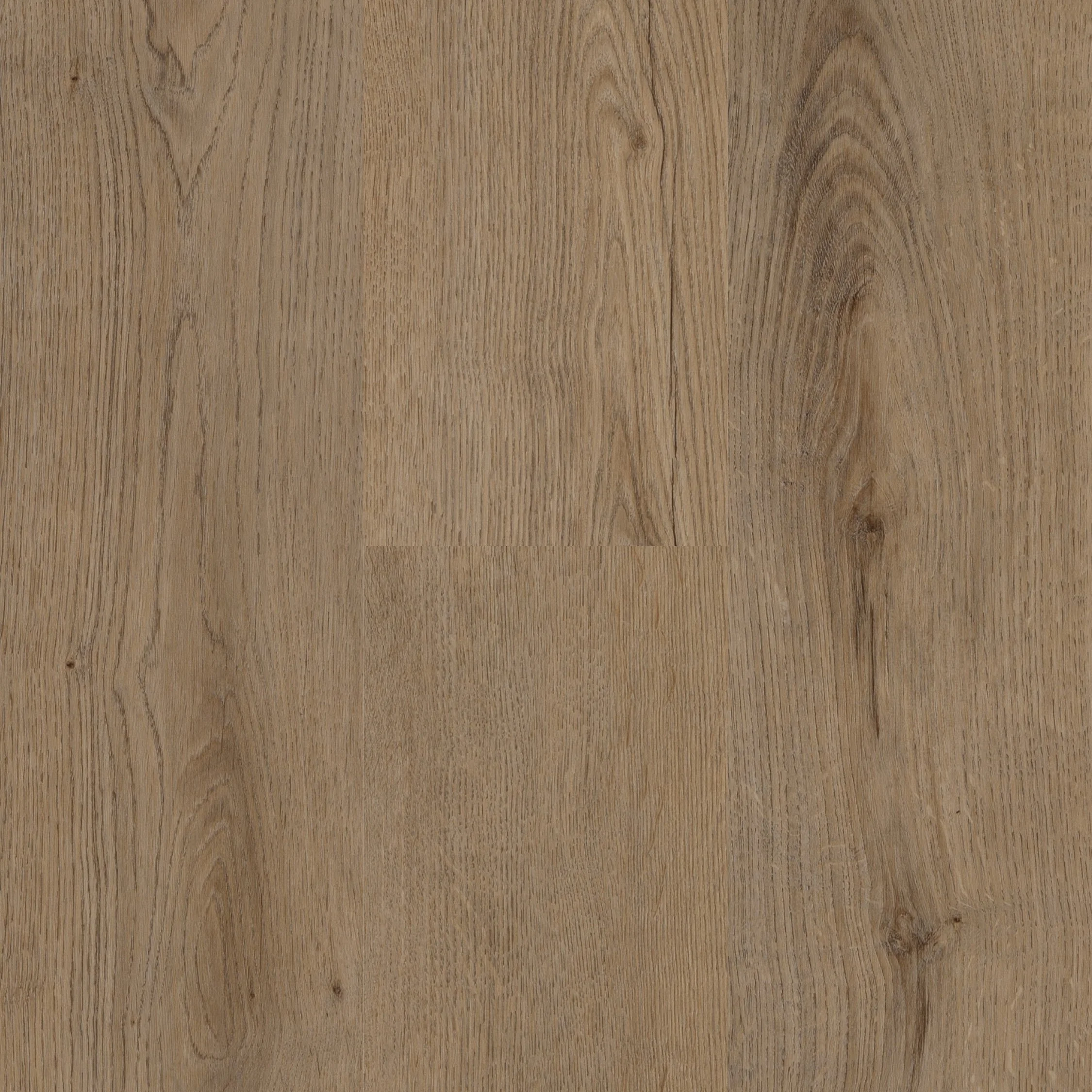 Wildwood — Next Floor®